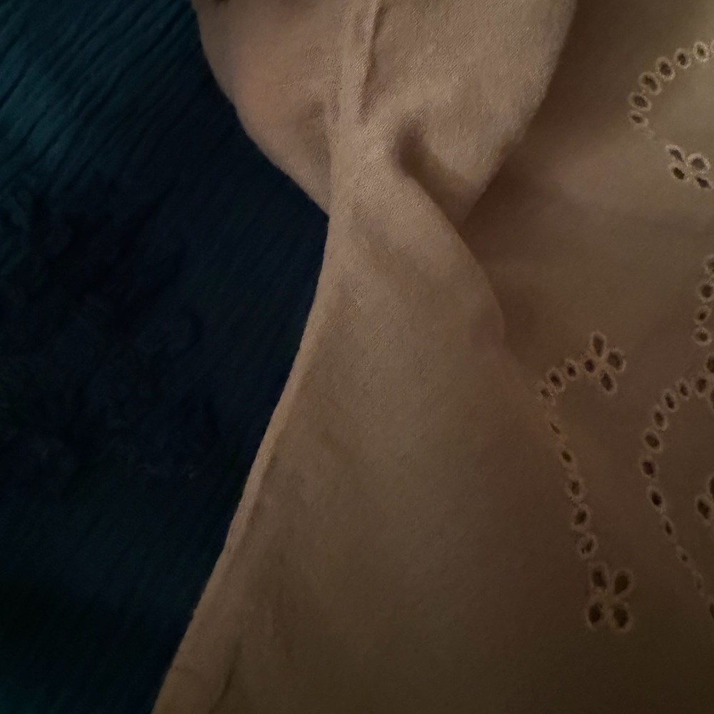 IRO Beige Embroidered Blouse - Picture 14 of 16